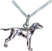 Dalmatische hond / Dalmatiër 2.5D Hanger -merk COOLDOG™ in massief Zilver inclusief ketting