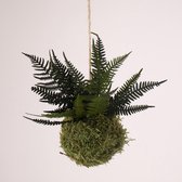 Onderhoudsvrije Kokedama - moskleur: Moss Green - afm. 9 cm - groene varen