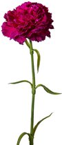 Viv! Home Luxuries Anjer - zijden bloem - 2 stuks - fel roze/paars - 53cm - topkwaliteit zijde bloemen