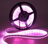 Ecommerce Deluxe LED-strip 10 meter waterdicht