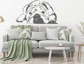 Muursticker Bulldog -  Donkergrijs -  160 x 92 cm  -  slaapkamer  woonkamer  alle muurstickers  dieren - Muursticker4Sale