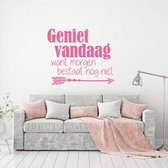 Muursticker Geniet Vandaag Want Morgen Bestaat Nog Niet -  Roze -  100 x 83 cm  -  woonkamer  nederlandse teksten - Muursticker4Sale