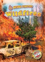 Wildfires