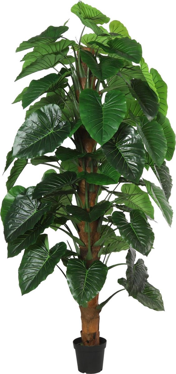 Countryfield kunstplant Monstera Groen