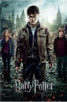 HARRY POTTER - Poster 61X91 - Part 2 One Sheet