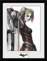 BATMAN - Collector Print 30X40 - Harley Quinn 'Arkham City'