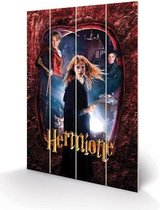 Poster - Harry Potter Houten Hermione - 59 X 40 Cm - Multicolor