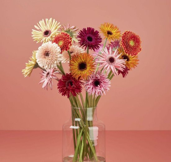 24 Gerbera's, Bloemen Boeket Bijzondere Favoriet