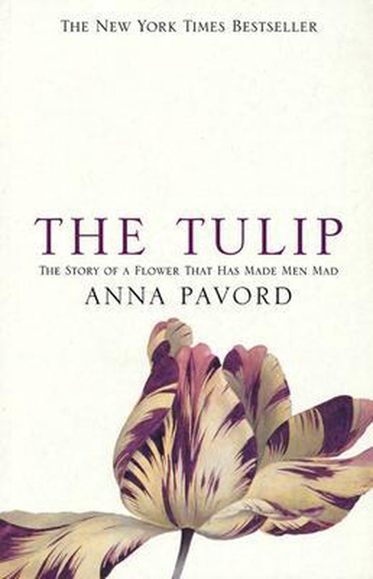 Tulip - cover