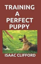 Training a Perfect Puppy