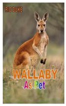 Wallaby as Pet