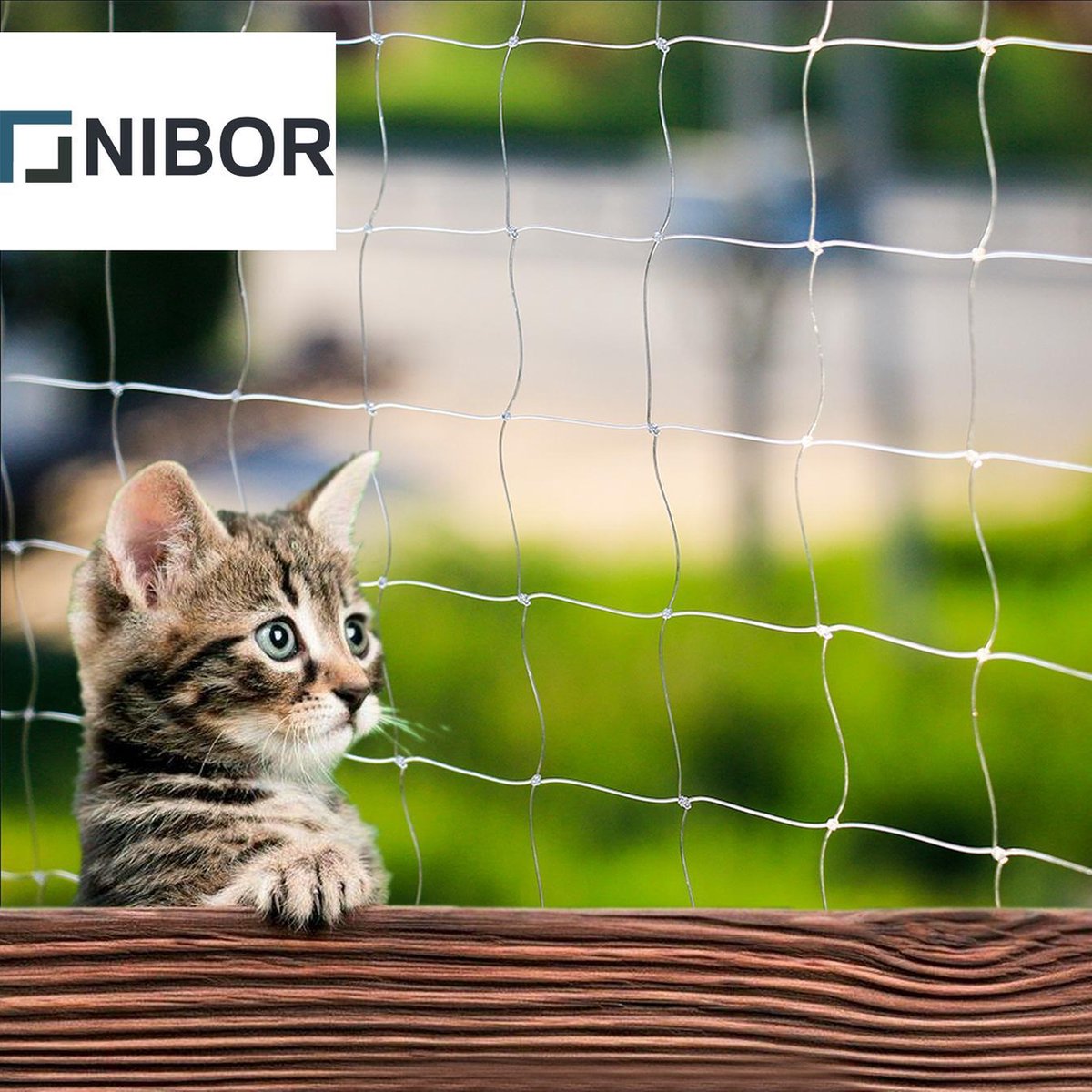 Nibor® Bijtsterk Kattennet voor Balkon of Tuin (Complete Set) - Transparant – Kattenbeschermnet / Katten Net / Veiligheidsnet – Makkelijk te Plaatsen – 6 x 3 meter - Nibor