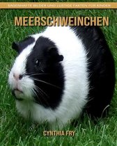 Meerschweinchen