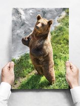 Wandbord: Bruine beer in het wild - 30 x 42 cm