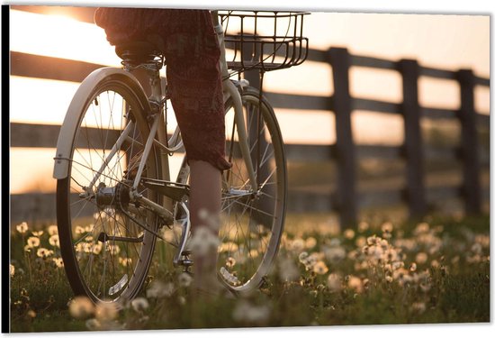 Dibond –Witte fiets door Paardenbloemen-90x60 Foto op Aluminium (Met ophangsysteem)