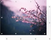 Tuinposter - Cherry blossom - Bloesemboom- 120 x 80 cm | PosterGuru