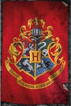 Harry Potter - Hogwart's Flag Maxi Poster