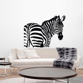 Muursticker Zebra -  Groen -  60 x 46 cm  -  slaapkamer  woonkamer  dieren - Muursticker4Sale