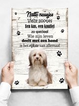 Wandbord hond: Havanezer - 30 x 42 cm