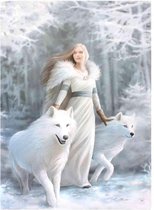 Anne Stokes Winter Guardian canvas schilderij