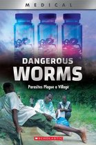 Dangerous Worms (Xbooks) (Library Edition): Parasites Plague a Village