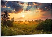 Glasschilderij Natuur veld met zonsopgang - 120 x 70 cm