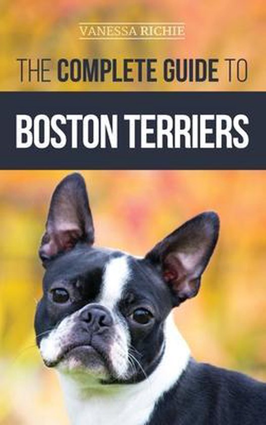 De complete gids voor Boston Terriers, met een close-up van een Boston Terriër met een zwarte en witte vacht.