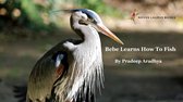 Animal Picture Books With Social & Emotional Learning 1 - Bebe Learns How To Fish