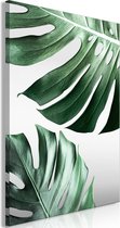 Schilderijen Op Canvas - Schilderij - Monstera Leaves (1 Part) Vertical 80x120 - Artgeist Schilderij