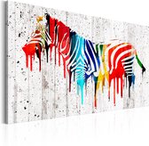 Schilderijen Op Canvas - Schilderij - Colourful Zebra 120x80 - Artgeist Schilderij