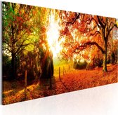 Schilderijen Op Canvas - Schilderij - Magic of Autumn 120x40 - Artgeist Schilderij