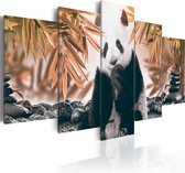 Schilderijen Op Canvas - Schilderij - Thoughtful Panda 100x50 - Artgeist Schilderij