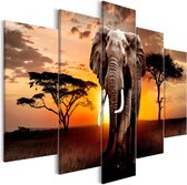 Schilderijen Op Canvas - Schilderij - Wandering Elephant (5 Parts) Wide 225x100 - Artgeist Schilderij