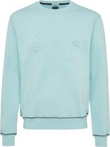 Ted | Sweater ronde hals mint groen