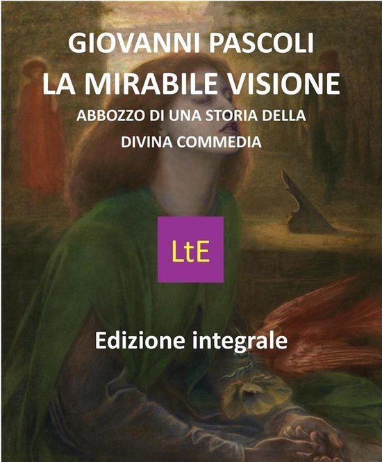 La mirabile visione