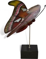 Handgemaakte Urn Vlinder (Atlas Vlinder)