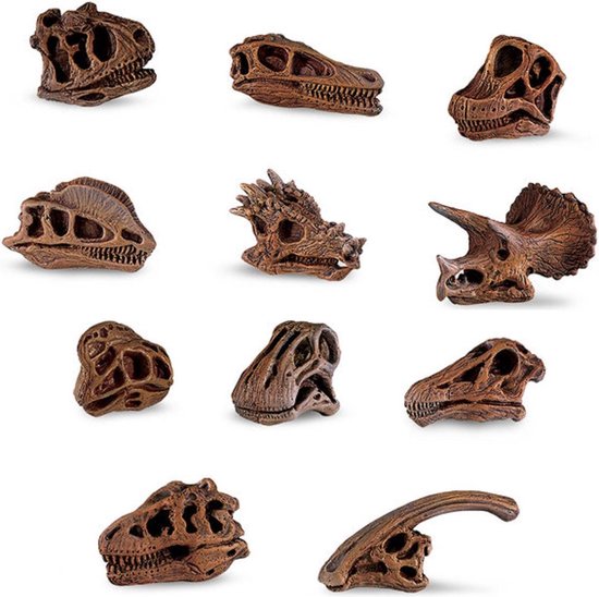 Modelbouw producten - Dinosaurus schedels - hard plastic  3-4 cm (48 stuks)
