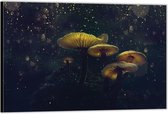 Dibond –Lichtgevende Paddenstoelen– 60x40 Foto op Aluminium (Wanddecoratie van metaal)