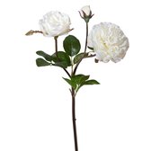 Viv! Home Luxuries Wilde Engelse roos - zijden bloem - roomwit - topkwaliteit