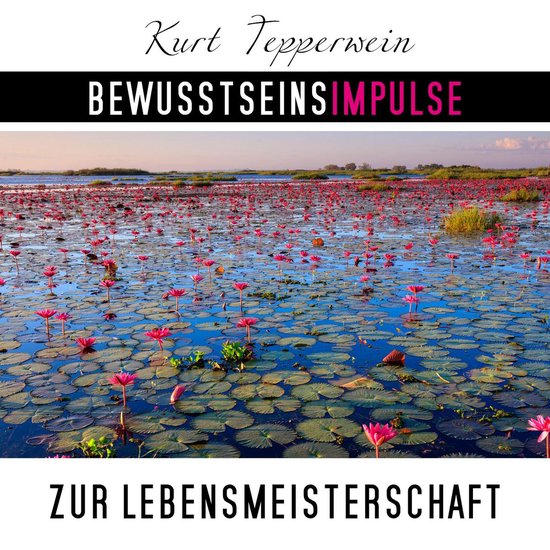 Bewusstseinsimpulse zur Lebensmeisterschaft - cover