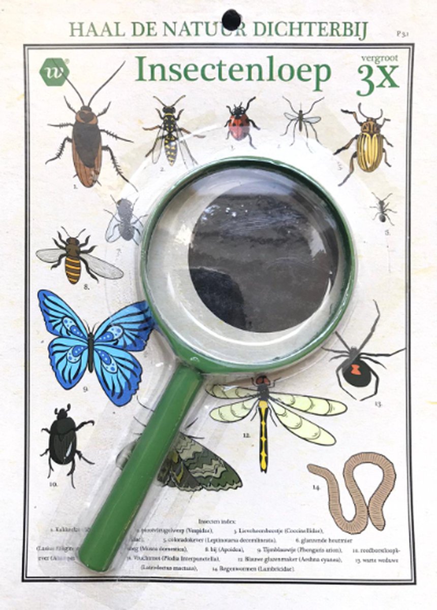 Vergrootglas - Insectenloep - Vergroot 3x - Haal de natuur dichterbij - Speciaal voor kinderen - 