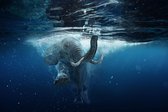 Swimming elephant 120 x 80  - Plexiglas