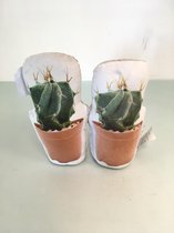 Cactus deurstop (set van 2)