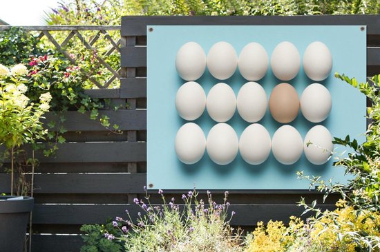Affiche de jardin oeuf brun individuel entre oeufs blancs 160x120 cm - Toile de jardin / Toile d'extérieur / Peintures d'extérieur (décoration de jardin) XXL / Groot format!