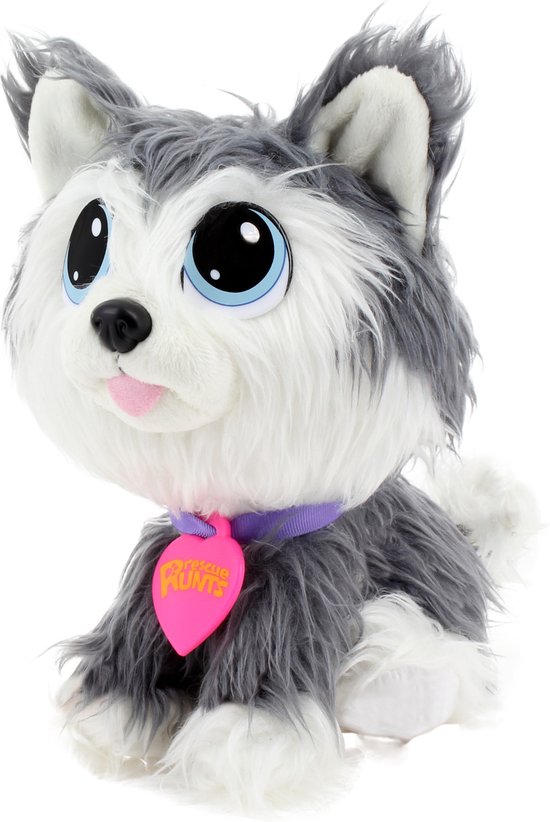 KD Group husky puppy om te redden en te genezen, vanaf 3 jaar — afbeelding 2