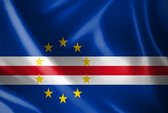 Gambia Tafelvlag 15x10 Cm Gambiaanse Bureauvlag 15 X 10 Gouden Speerblad Az Flag 2122455690