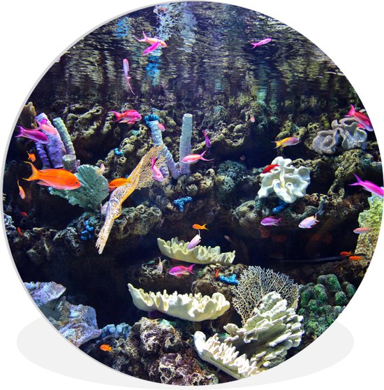 Wandcirkel - Muurcirkel Binnen - Kleurrijk aquarium - ⌀ - Wanddecoratie - Ronde Schilderijen