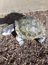 Schildpad beeld REUZE schildpad tuinbeeld Uniek apart polyester 21x43x30 cm