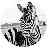 Behangcirkel Zebra | ⌀ 80 cm | Zelfklevend | Wanddecoratie | Ronde Muursticker | Muurcirkel Binnen