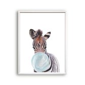 Schilderij  Jungle zebra met blauwe kauwgom - Jungle dieren / Kauwgombel / 40x30cm